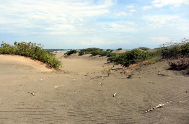 Dunes de Bani